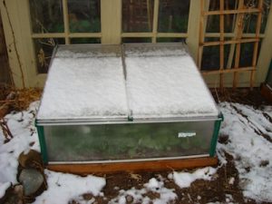 Cold Frame Closed