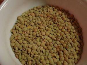 French Green Lentils for Sprouting